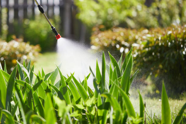 24/7 Emergency Wasp Removal experts in Crestwood, IL