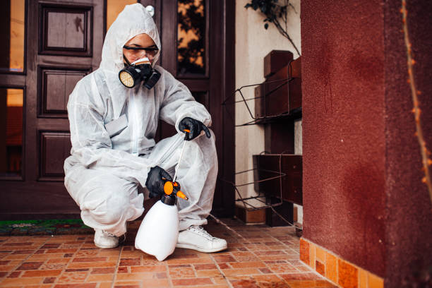 Reliable Wasp Removal contractor in Crestwood, IL by Show Me Pest Control