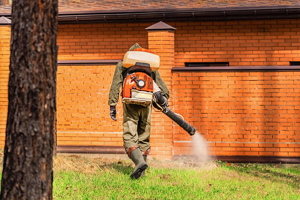 Top rated local Wasp Removal specialists in Crestwood, IL